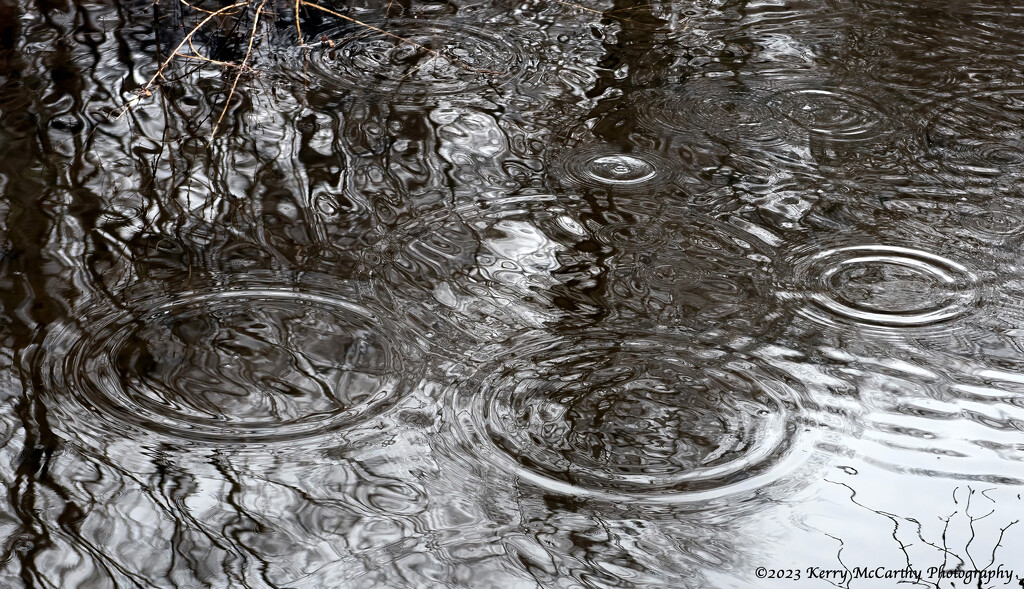 Ripples and reflections by mccarth1