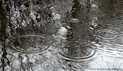 14th Mar 2023 - Ripples and reflections