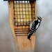 Downy Woodpecker by pej76