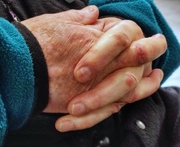 15th Mar 2023 - Dad's Hands 