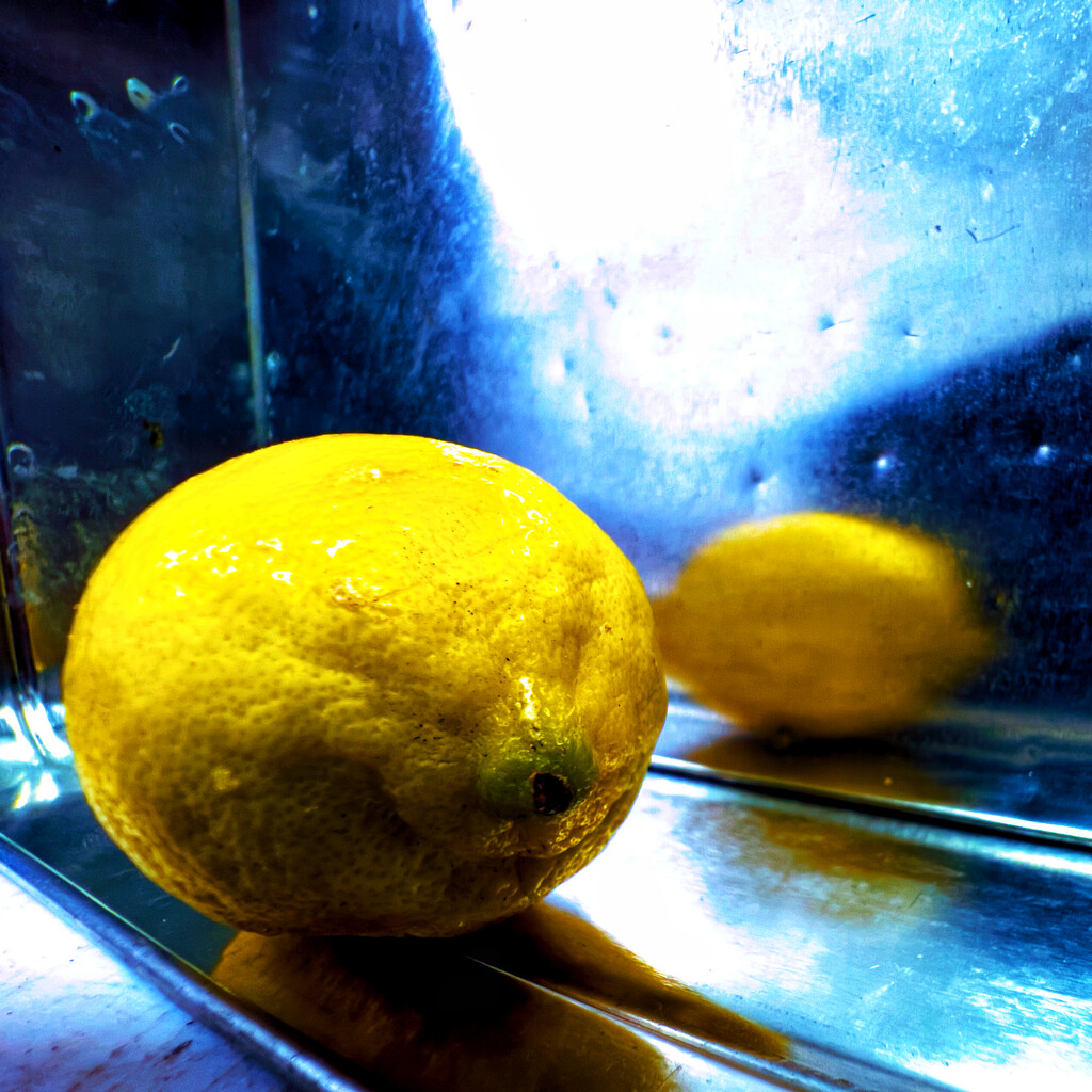 A yellow Lemon reflects on his singular existence  by catangus