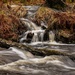 Flowing stream….. by billdavidson