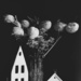 073.1  Iittala vase with Swan Pods  by nannasgotitgoingon