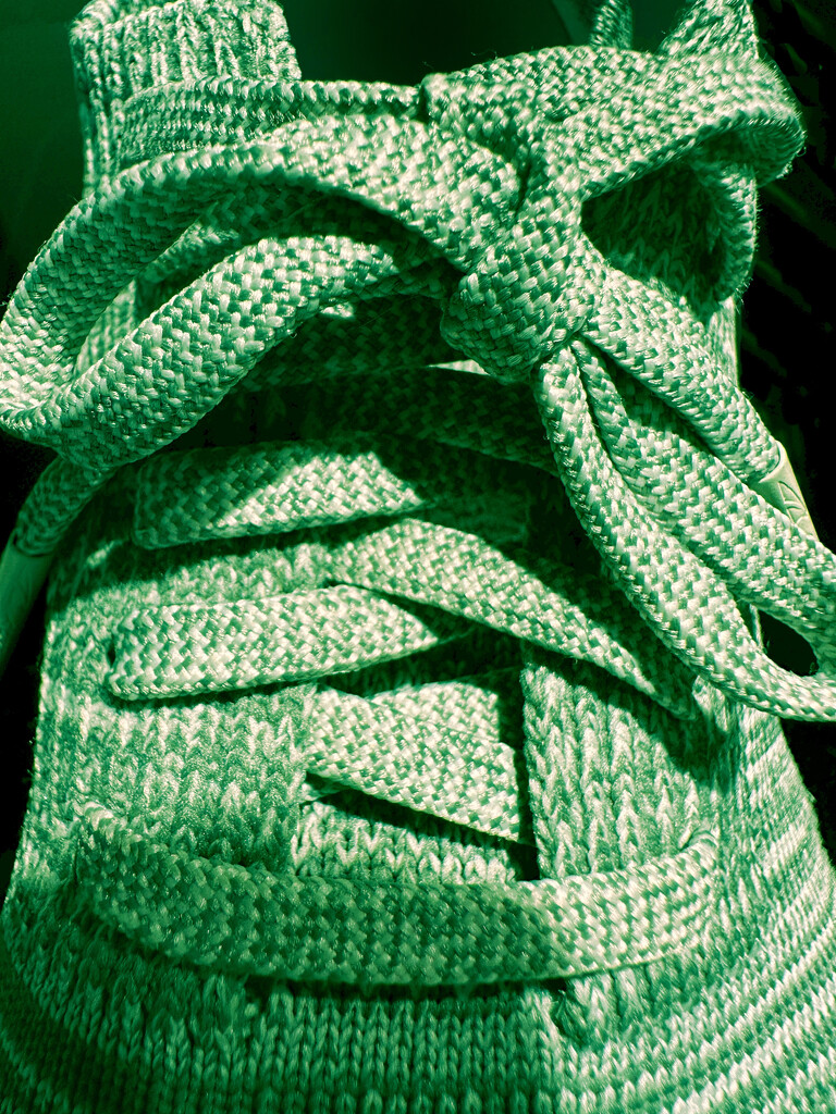 Green Shoe by shutterbug49