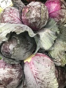 4th Mar 2023 - Purple cabbage