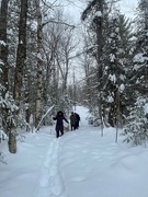 4th Feb 2023 - Gwen's Trails