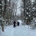 Gwen's Trails by sunnygreenwood