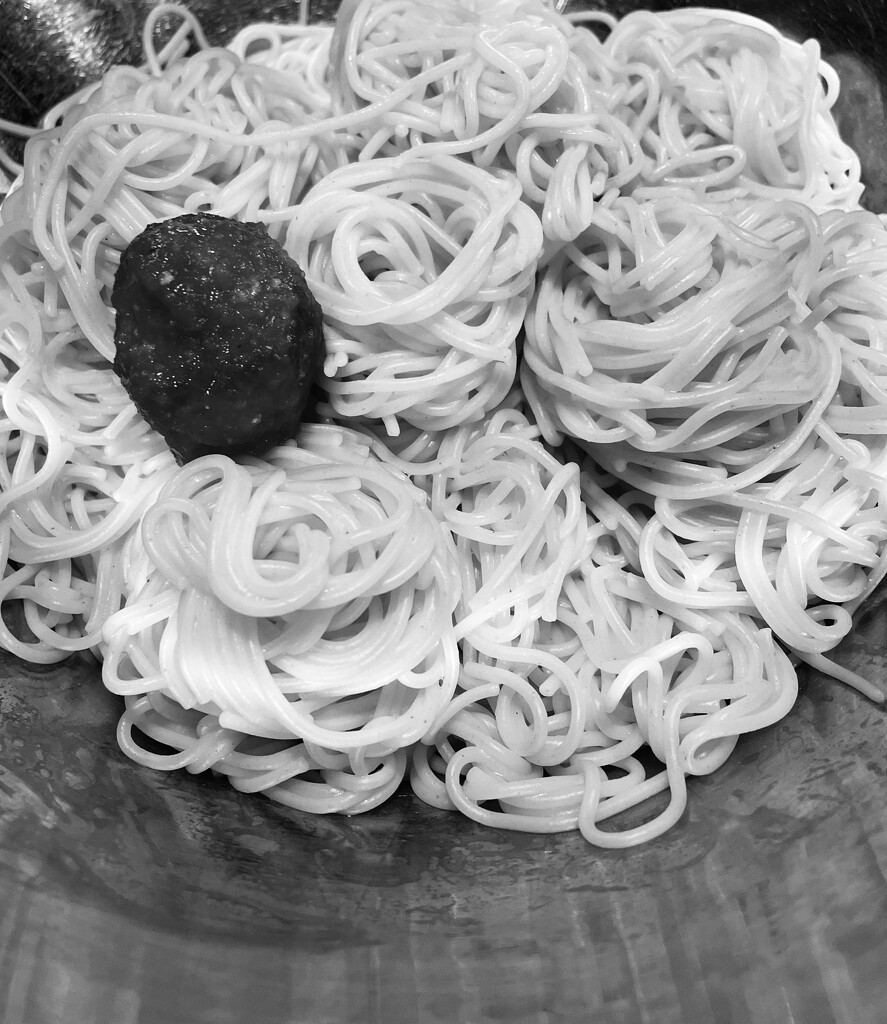 Noodles aka Pasta & a Meatball by eahopp