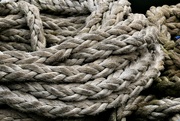 17th Mar 2023 - rope