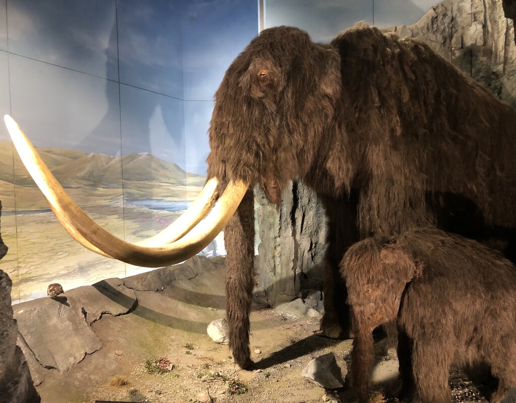 Woolly Mammoth and Baby by susiemc