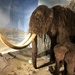 Woolly Mammoth and Baby by susiemc