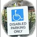 Disabled Sparrow