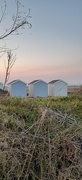 6th Mar 2023 - Beach huts