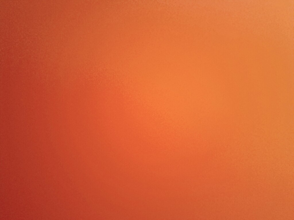 Orange..accidental  by jokristina