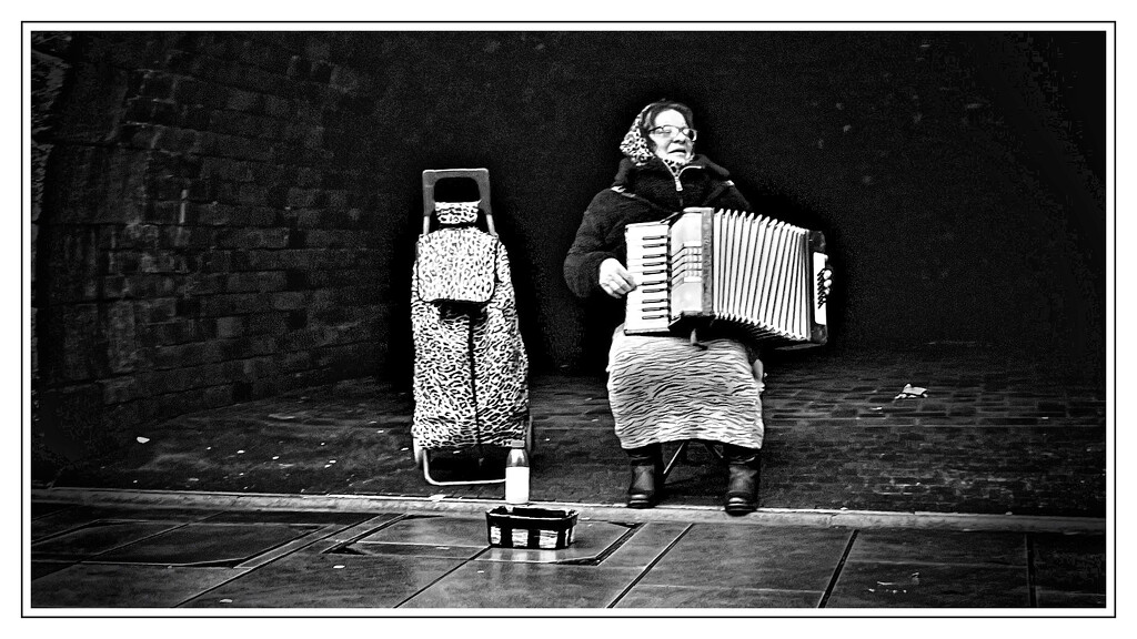 2023-03-16 Accordionly by cityhillsandsea