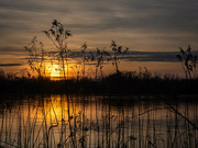 17th Mar 2023 - Sunset over the Vistula river