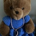 Bear in a Blue Dress 