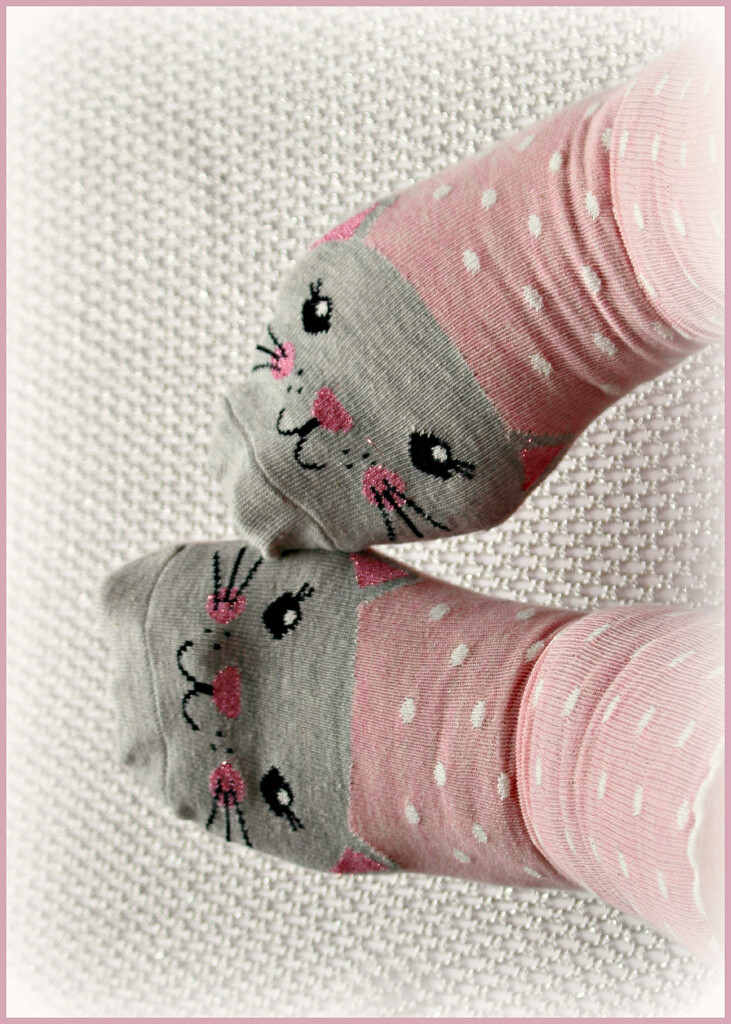Kitty Socks. by wendyfrost