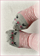 17th Mar 2023 - Kitty Socks.