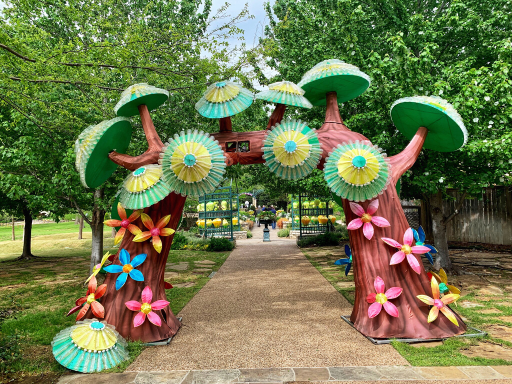 The Japanese Botanic Garden’s spring festivsl by louannwarren