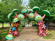 16th Mar 2023 - The Japanese Botanic Garden’s spring festivsl