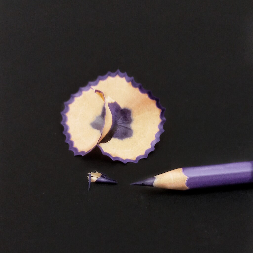 Purple Pencil  by salza