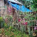 Philippino house and garden