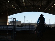 8th Mar 2023 - Cowboy silhouette rodeo "Fort Worth" horse 