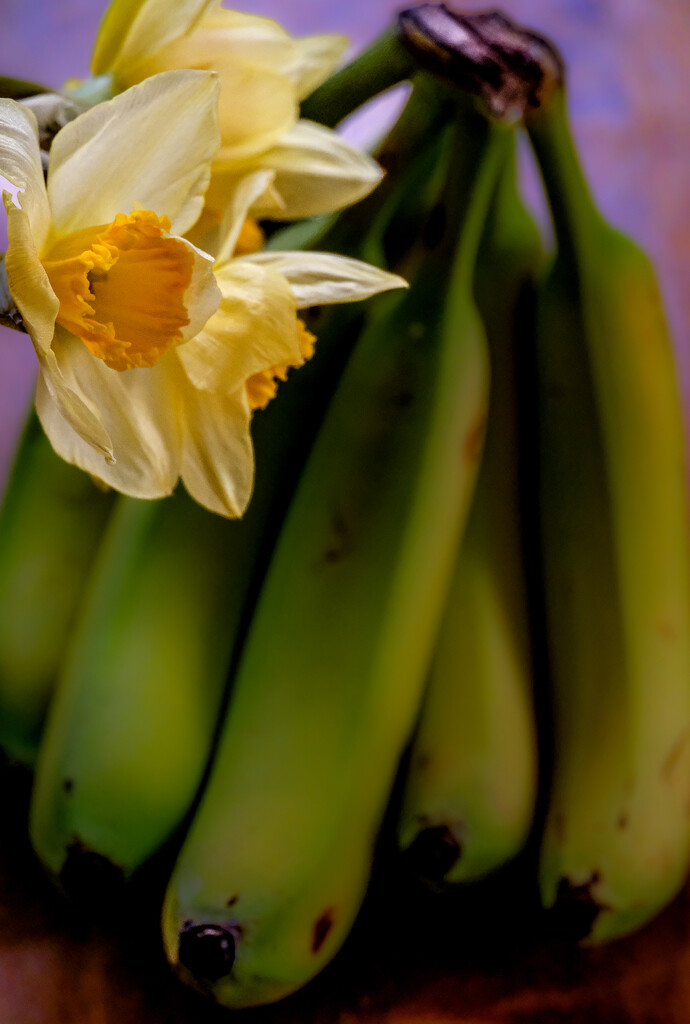 Daffodils and Bananas  by tosee