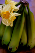 18th Mar 2023 - Daffodils and Bananas 