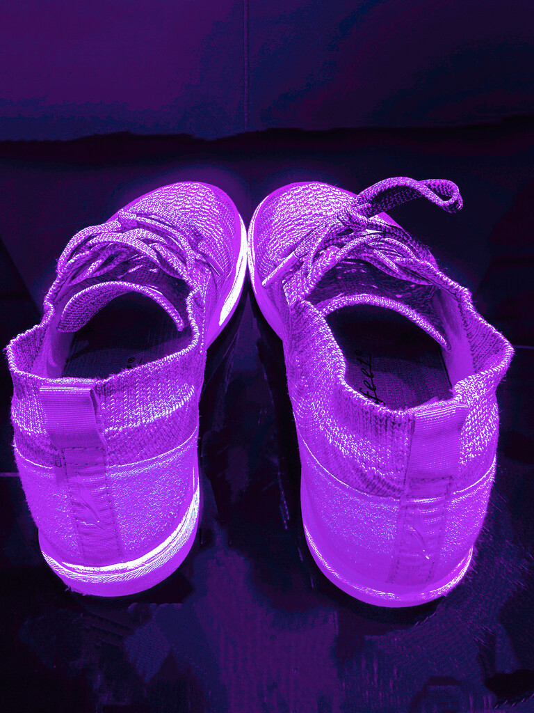 Purple Shoes by shutterbug49