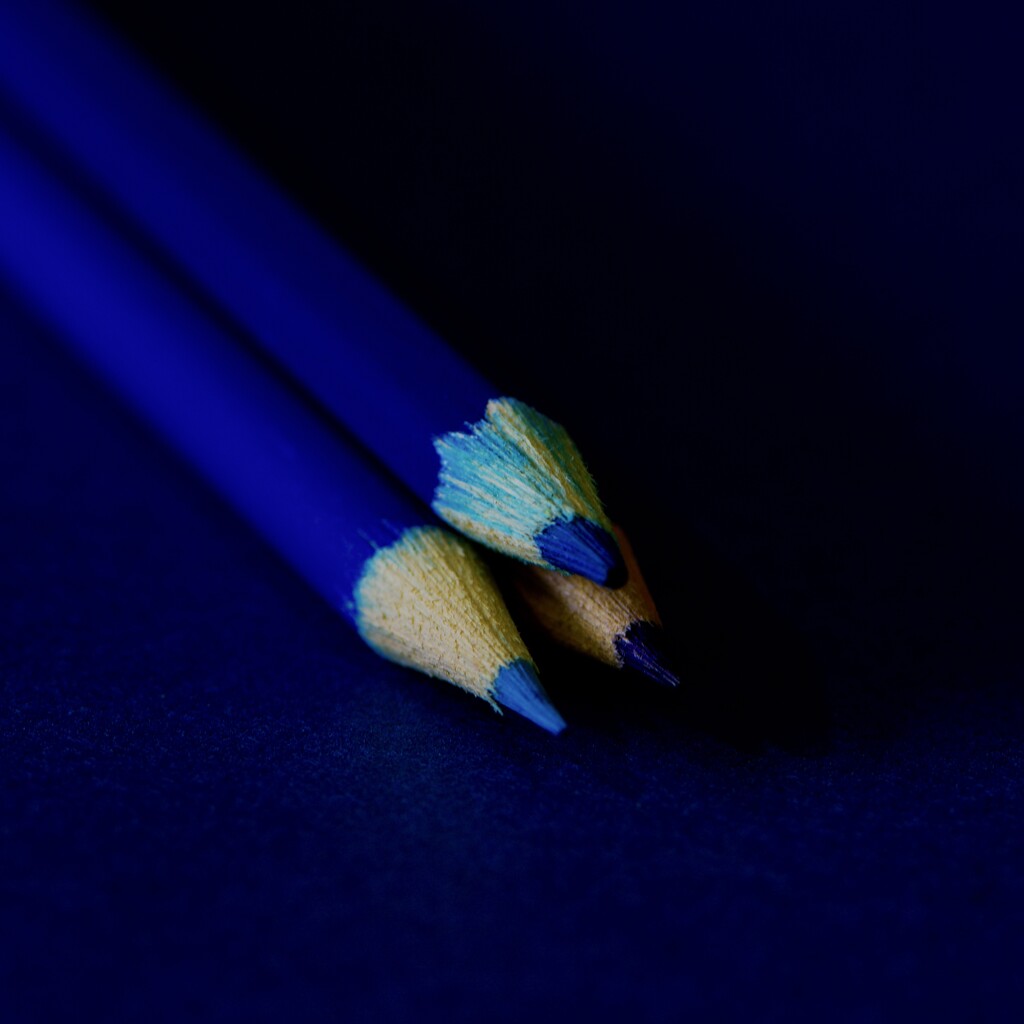 Playing With Pencils DSC_4998 by merrelyn