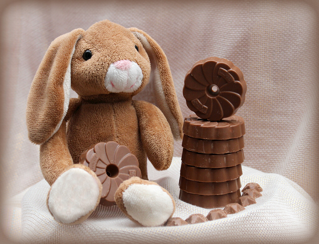 Bunny Loves Chocolate.  by wendyfrost