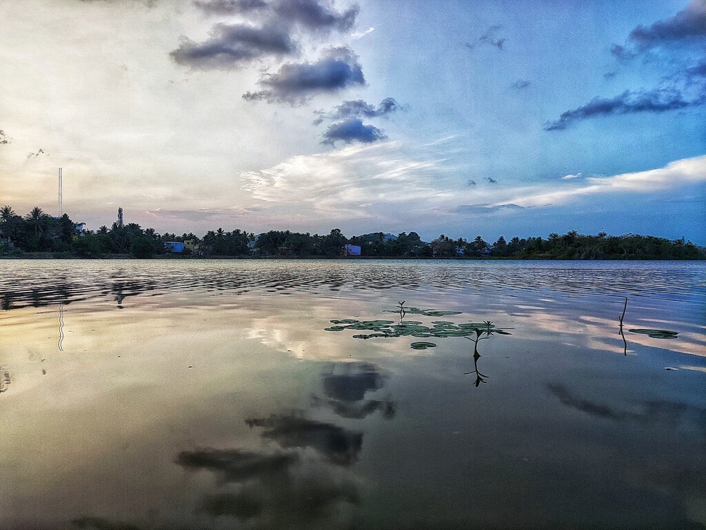 Lake view by sudo