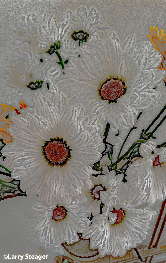White daisy color pencil by larrysphotos