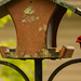 Mr and Mrs Cardinal Getting a Bite During the Rain!