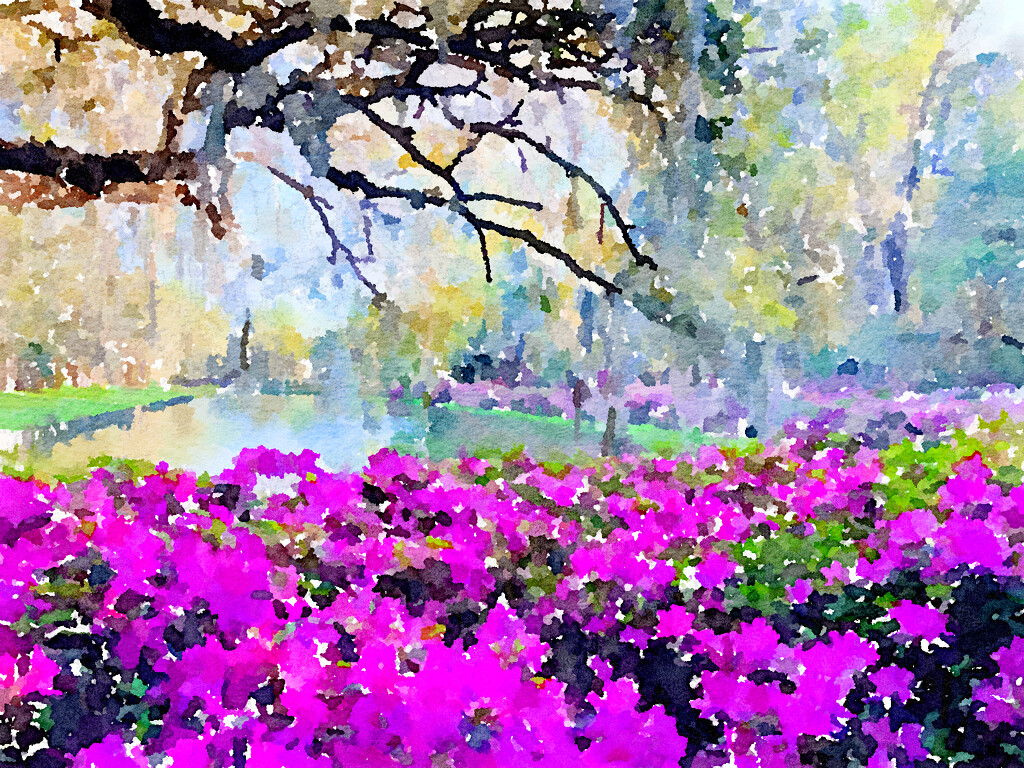 Watercolor photo from my visit to Middleton Place Gardens last week by congaree