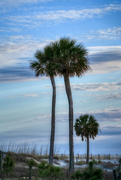 15th Mar 2023 - Hunting Island State Park 