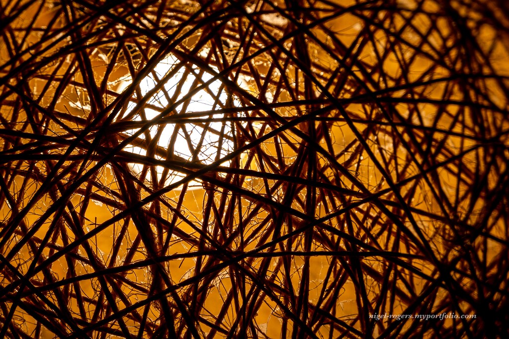 Ball of string makes ceiling light by nigelrogers