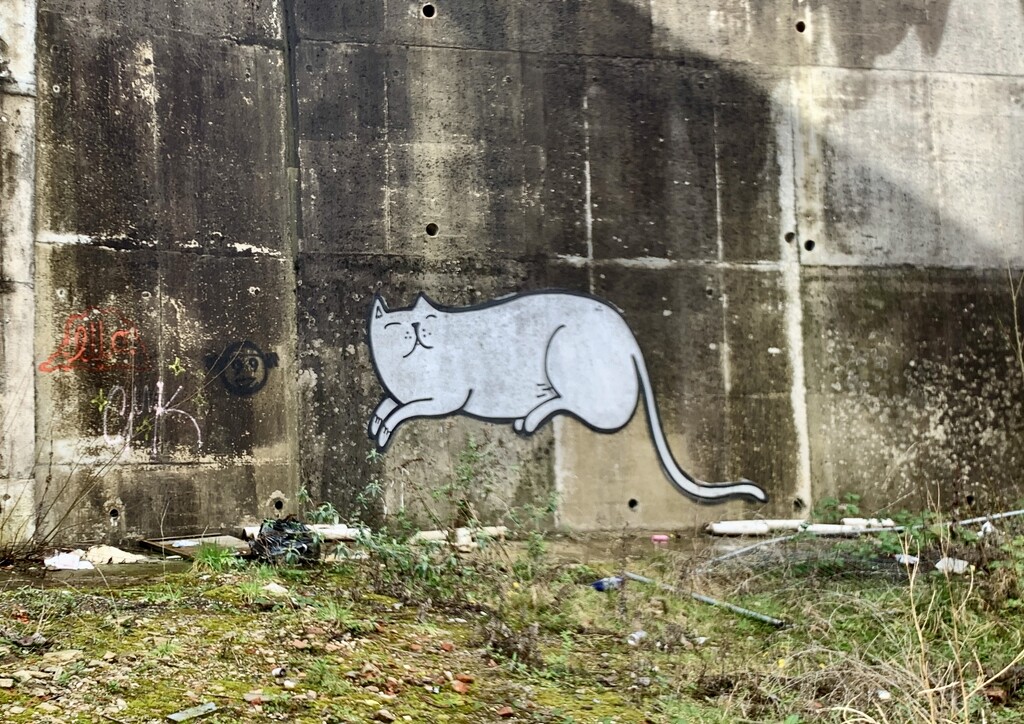 Urban Cat by philm666