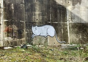 13th Mar 2023 - Urban Cat