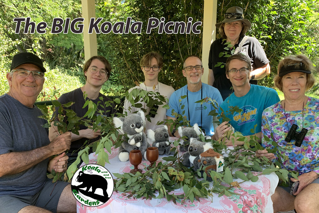 the BIG Koala Picnic by koalagardens