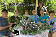19th Mar 2023 - the BIG Koala Picnic