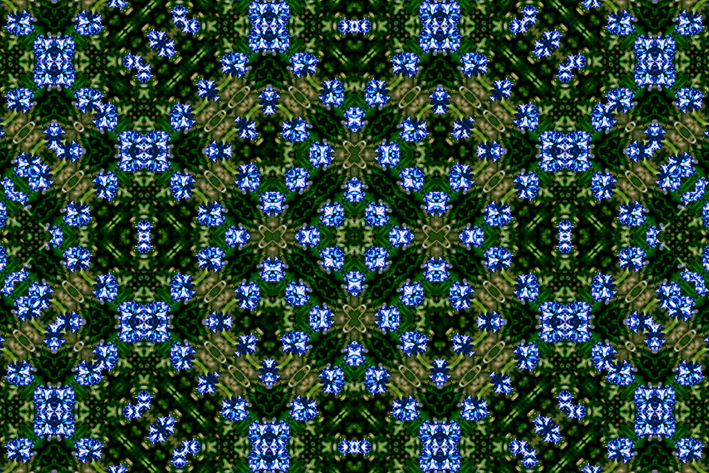 Hyacinth pattern by pompadoorphotography
