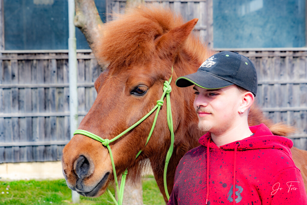 my son and his icelandic horse by jo63
