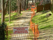 19th Mar 2023 - Construction Down Trail 