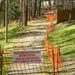 Construction Down Trail  by sfeldphotos