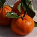 Day 77: Oranges by sheilalorson