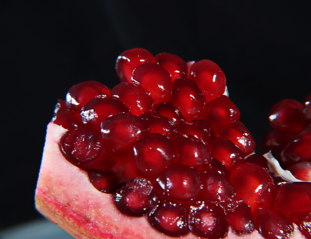 Day 78: Pomegranate  by sheilalorson