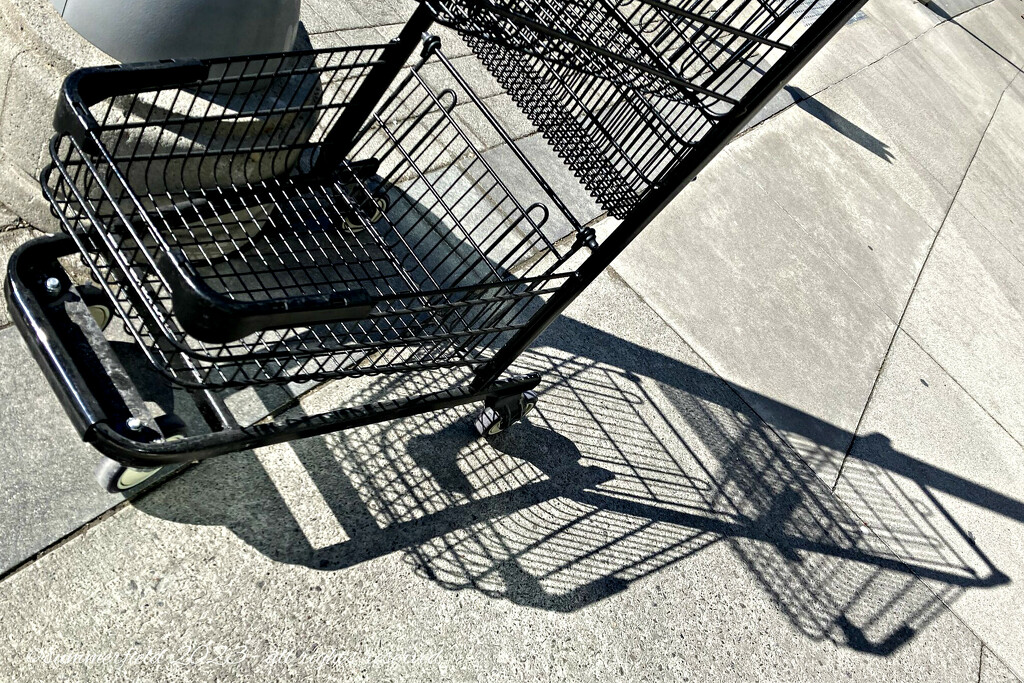shopping cart shadow by summerfield
